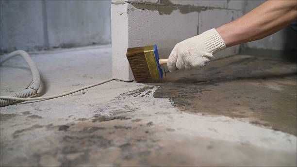 Top rated local Basement Waterproofing specialists in Newport, WA